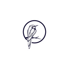 Bird Logo Concept
