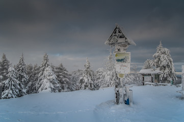 Zima na Jaworzynie Krynickiej,Beskid Sądecki