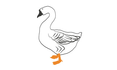Goose vector illustration