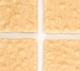 Simple square crackers isolated