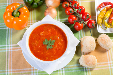 Close up of healthy vegetable soup with ingredients