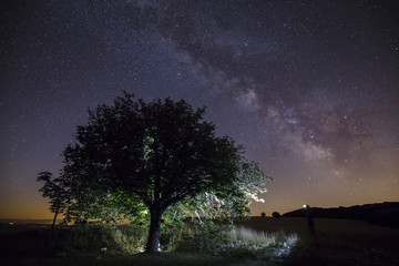 Arbre éclairé la nuit et la Voie Lactée vu du parc naturel régional du Luberon