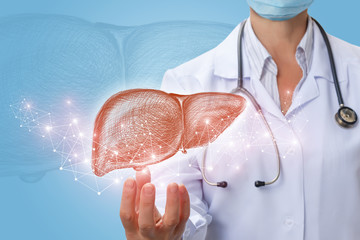 Doctor shows liver in hand .