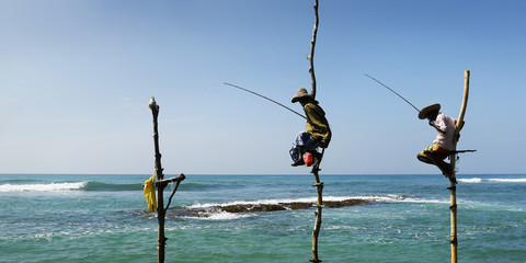 srilankan fisherman fishing sitting on stick of wood