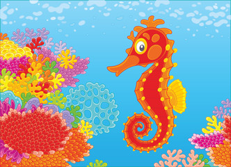 A funny red seahorse swimming over an amazing and colorful coral reef in blue water of a tropical sea, a vector illustration in cartoon style