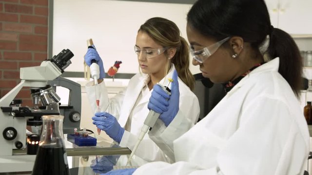 A young African American woman and her Caucasian colleague working with pipettes as part of their pre-med college classes.