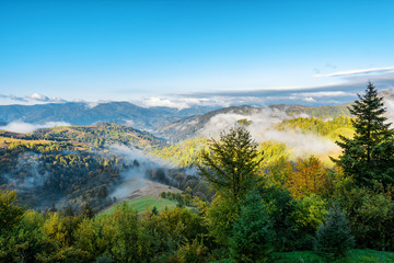 Fototapeta na wymiar Mountain landscape, autumn sunny morning. Carpathian Mountains, Mizhhiria, Ukraine.