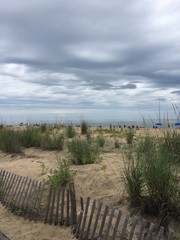 Sand dunes at the Beach