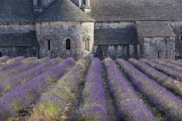 Gordijnen Lavendelveld voor de 12e-eeuwse abdij van Notre-Dame-de-Sénanque © IMAREVA
