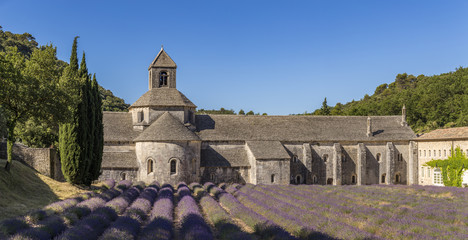 Fototapeta na wymiar Champ de lavande devant l'abbaye Notre-Dame-de-Sénanque du XIIe siècle