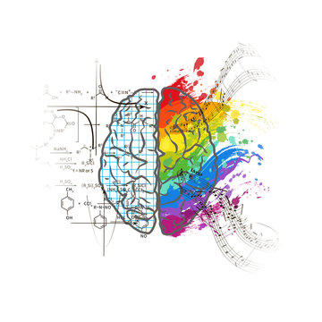 Technical And Art Hemispheres On Human Brain, Left And Right Brain Functions Concept On White