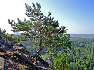 Fototapeta na wymiar View from Mount Bear - Stone. Sverdlovsk region. Russia