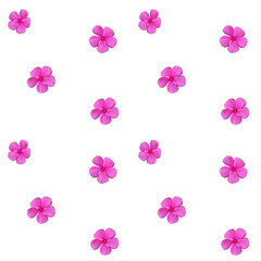 Fototapeta na wymiar Colorful beautiful naturalistic Pink flower. Seamless pattern. V