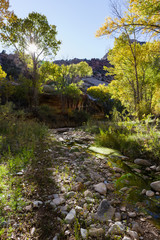 Fototapeta na wymiar Utah Autumn Scenery - Canyonlands Stream