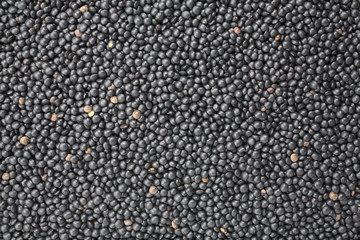 Schwarze Belugalinsen