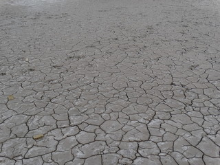Dried bottom of a saline lake