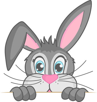 grauer m&auml;nnlicher Osterhase schaut &uuml;ber Kante