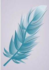 Fototapeta na wymiar Blue fragile single feather illustration