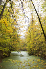 Obraz premium Lake and forest nature view. Autumn and forest view camping outdoors. seven lakes in Turkey. Lush greenery reflection in water surface of primeval forest lake