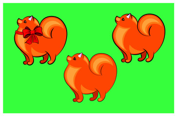 Vector illustration of a cute and funny Pomeranian Spitz