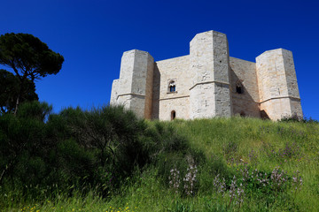 Fototapeta na wymiar Castel del Monte, castrum Sancta Maria de Monte, ist ein Bauwerk aus der Zeit des Stauferkaisers Friedrich II. in Apulien, Italien