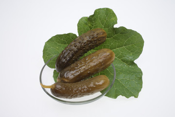 Sauere Gurken, eingelegte Gurken, hier auf einem feuchten Gurkenblatt dekoriert