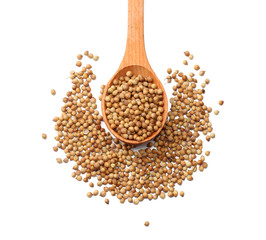 coriander seeds in wooden spoon isolated on white background top view