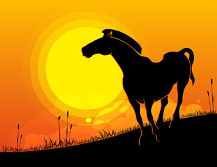 Flat landscape background,silhouette sunset horse. Vector illustration.