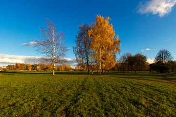 Walking in a bright sunny day among the golden trees by the lake, in the water reflection of the blue sky and golden leaves of trees