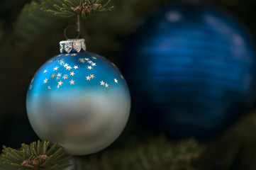 Christmas tree globe ornament. Baubles on fir tree branches.