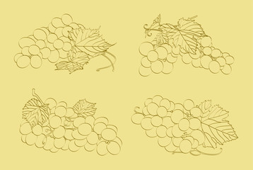 three clusters of grapes