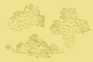 three clusters of grapes