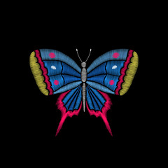 Embroidery tropic butterfly on black background