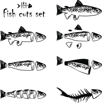 Trout cuts dagram - whole fish, pan dressed, fillets, steaks and fish carcass