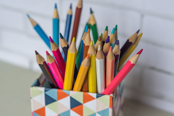 closeup of colorful pencils in pencil case