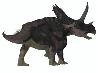 Fototapeta premium Agujaceratops Dinosaur Tail - Agujaceratops was a herbivorous ceratopsian dinosaur that lived in Texas, USA during the Cretaceous Period.