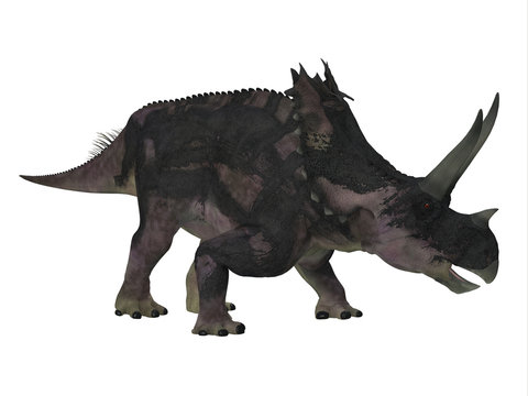 Agujaceratops Dinosaur Side Profile - Agujaceratops was a herbivorous ceratopsian dinosaur that lived in Texas, USA during the Cretaceous Period.