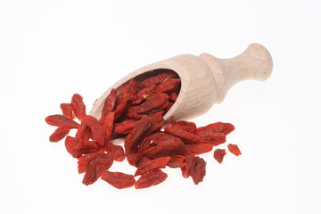 Goji, Gojibeeren, Gemeine Bocksdorn, Lycium barbarum oder Chinesische Wolfsbeere genannt,...