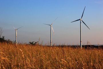 Windr&auml;der auf dem G&ouml;rauer Anger, Landkreis Kulmbach, Oberfranken, Bayern, Deutschland