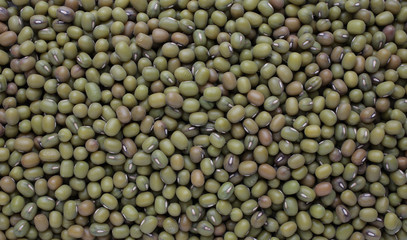 Mungbohne, Vigna radiata), auch Mungobohne, Jerusalembohne, Mung Dal