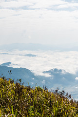 Fog Sea at Phu Chi Fa View Point in Chiangrai Province