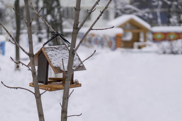 Wooden birdhouse with bird feeder hanging on the tree in winter city park