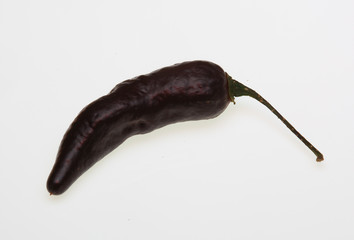 Pimenta da Neyde, schwarze, Chili