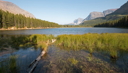 Dead wood log on shore of Fishercap Lake on the Swiftcurrent hiking trail in the Many Glacier region of Glacier National Park during the 2017 fall fires in Montana United States