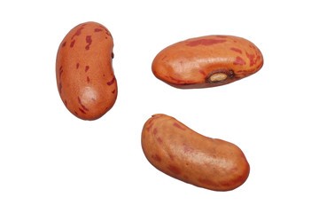Brown beens on a white background