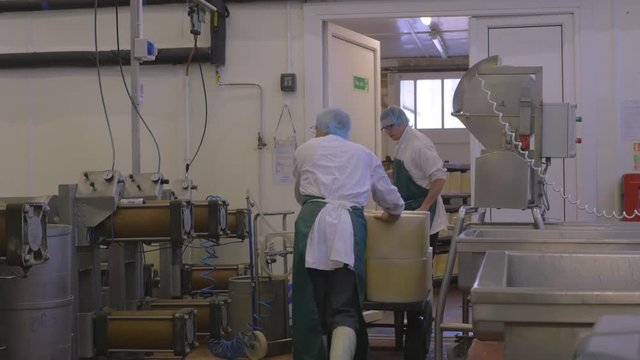 Cheese factory employees cart cheese off to next processing stage