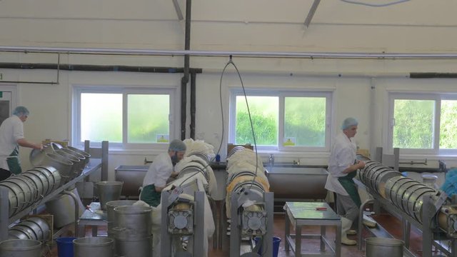Cheese factory employees hard at work