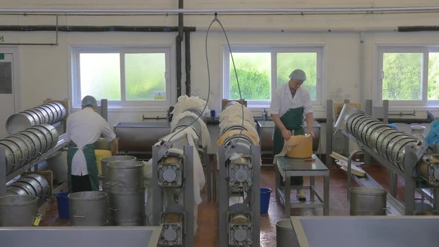 Cheese factory employees hard at work preparing the cheeses