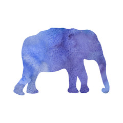 watercoloror silhouette of elephant