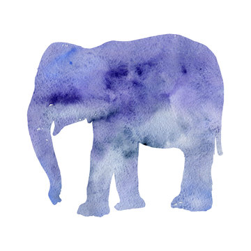 watercoloror silhouette of elephant